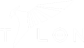 Talon Esports
